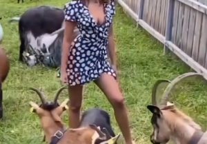 【動画】アルプスの少女、エッチだった