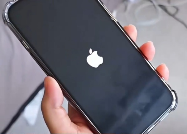 中国のTEMUで販売されている商品を購入したアメリカ人による動画レビュー集